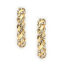 Gold Plated White AD Stone Western Hoop Earrings For Women