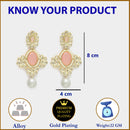 Gold Plated Oval Shaped with Pink Cubic Zirconia Small Drop Earrings
