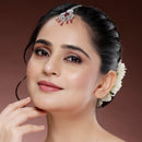 Rhodium Plated Silver Toned Leaf Teardrop Shaped Red American Diamond Studded Maang Tikka