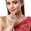 Gold-Plated Grey & White Cubic Zirconia Studded Ring