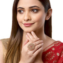 Gold-Plated Red & White Cubic Zirconia Stone Studded Ring