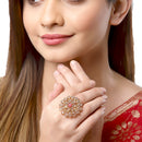 Gold-Plated Red & White Cubic Zirconia Stone Studded Ring