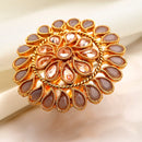 Gold-Plated Grey & White Cubic Zirconia Studded Ring