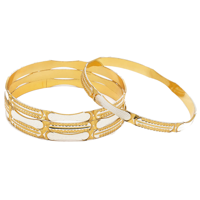 Traditional Dual Toned Set Of 2 Stylish Bangle Set