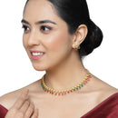 Gold-Plated Red & Green Cubic Zirconia Studded Floral Theme Jewellery Set