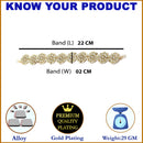 Gold-Plated Round Shaped White Kundan studded Matha Patti