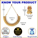 Traditional Gold-Plated Coin Choker Red Green Necklace & Earring Temple Jewellery Set