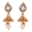 Traditional Gold Plated Long Necklace Set with Earring