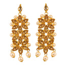 Flower Shaped Choker Bridal Necklace Set With Earrings Maang Tikka Jewellery